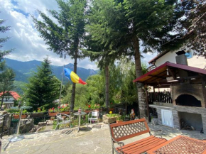 Vila Mara Busteni